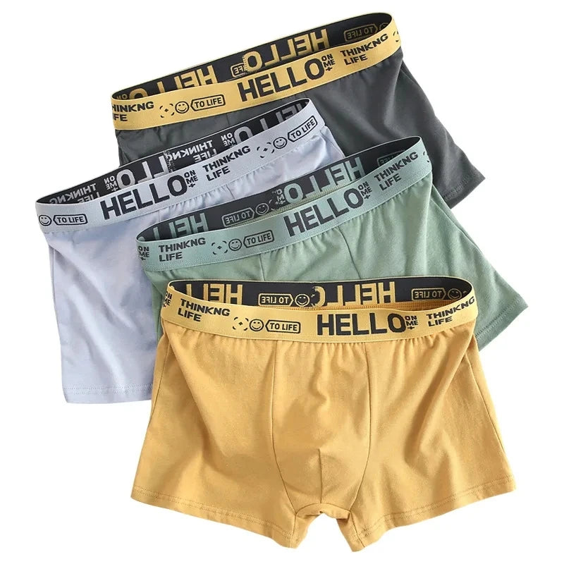 10Pcs/Men's  Boxer Shorts